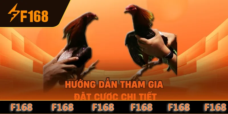 Hướng dẫn tham gia đặt cược chi tiết